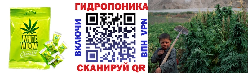 купить  сайты  Новоалтайск  Еда ТГК конопля 