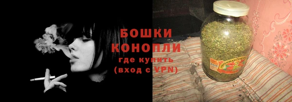тгк Лиски
