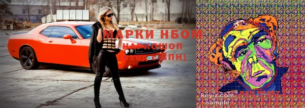 стаф Лихославль