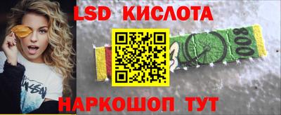 шишки Изобильный