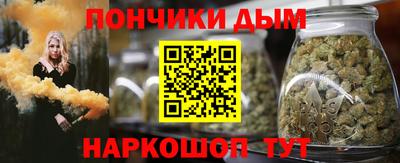 шишки Изобильный
