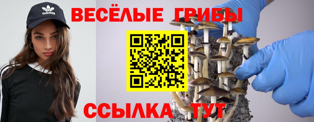 Новоалтайск  Галлюциногенные грибы GOLDEN TEACHER  Вход с VPN 